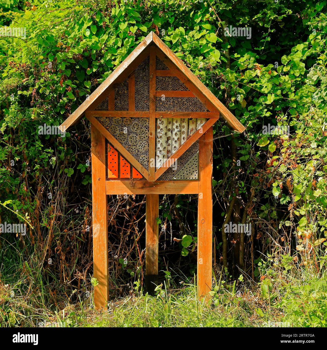 Wooden bee / bumble bee / insect house at Cosmeston Lakes and Country Park, South Wales. Taken September 2023 Stock Photo