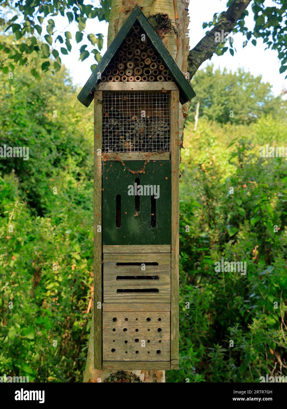 Wooden bee / bumble bee / insect house at Cosmeston Lakes and Country Park, South Wales. Taken September 2023 Stock Photo