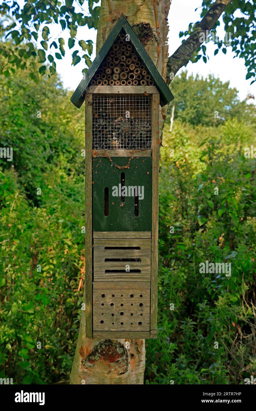 Wooden bee / bumble bee / insect house at Cosmeston Lakes and Country Park, South Wales. Taken September 2023 Stock Photo