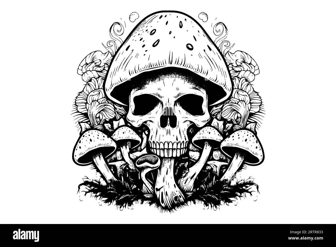 Human skull with mushrooms in woodcut style. Vector engraving sketch