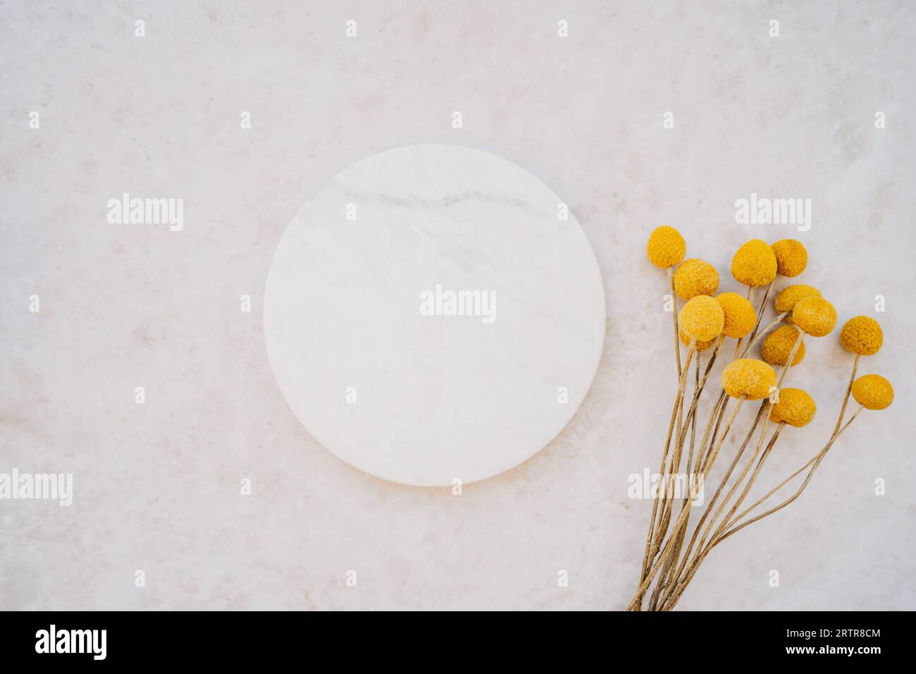 White marble cosmetic podium product design and bouquet of dry yellow flowers on white marble background. Product presentation scene for cosmetic or b Stock Photo