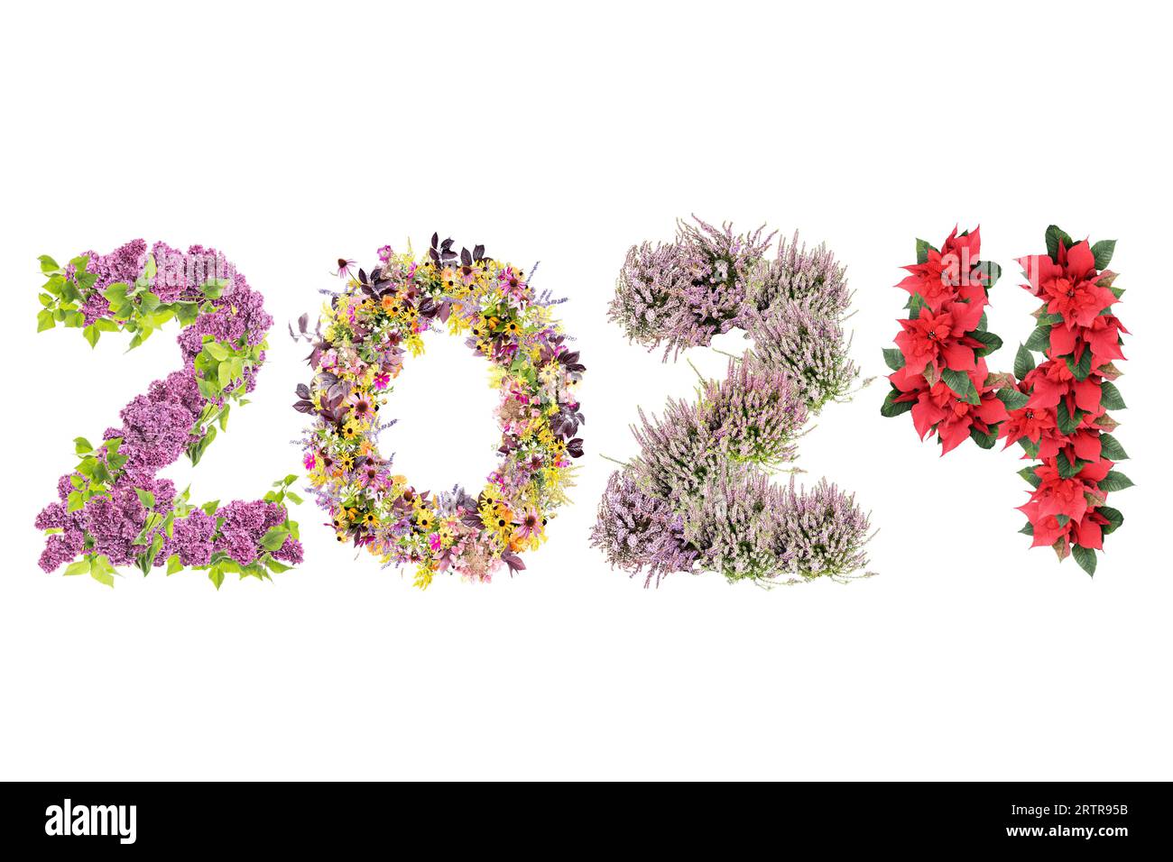 New Year 2024 date arranged from seasonal flowers representing four