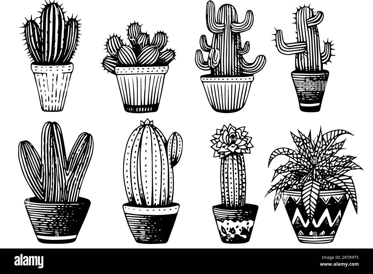 Set of cactus in engraving style vector illustration.Cactus hand drawn ...