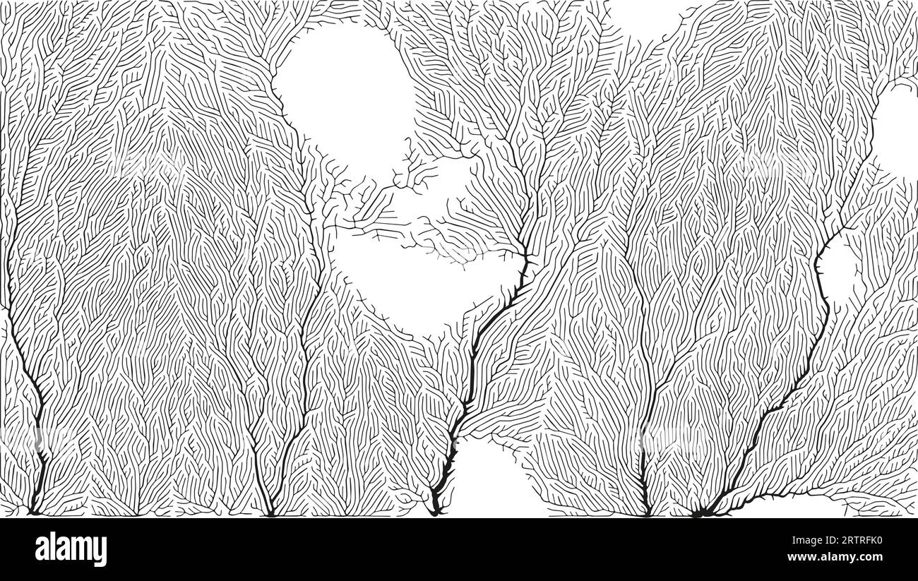 Branching growth pattern Stock Vector Images - Alamy