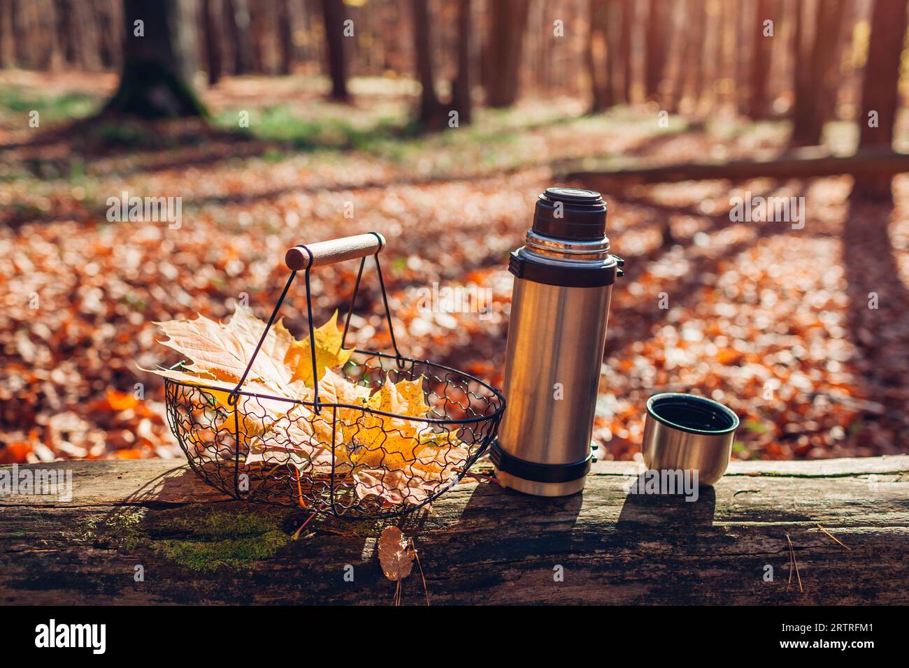 Hot Tea In Thermos For A Walk In The Woods While Resting Stock