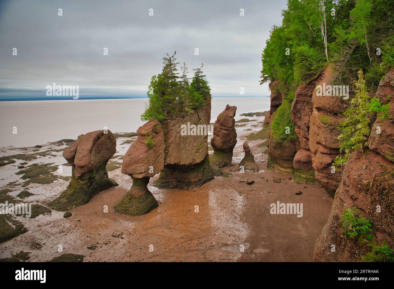 Hopewell rocks, Fundy National Park in New Brunswick, Canada in all its beauty showing. Stock Photo