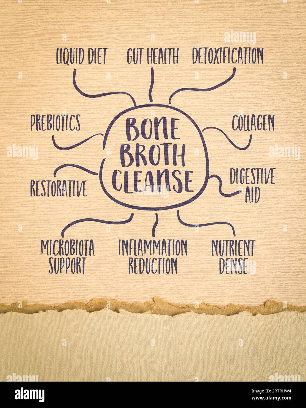 bone broth cleanse infographics or mind map sketch on art paper, gut