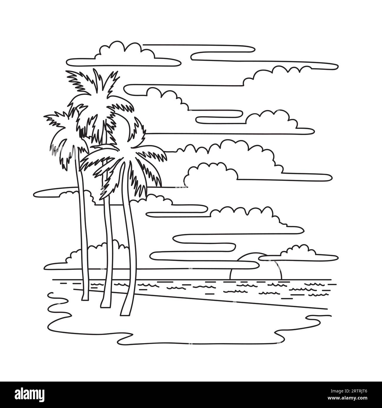 Mono line illustration of palm trees in Hollywood Beach located between Fort Lauderdale and Miami Beach in South Florida, USA  done in monoline line a Stock Photo