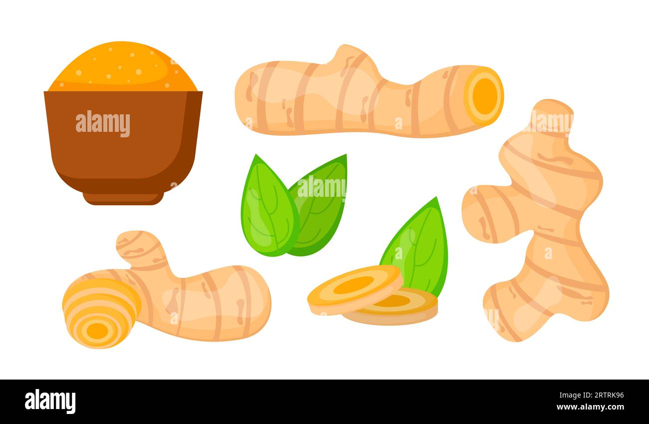 Set of turmeric vector concept Stock Vector Image & Art Alamy