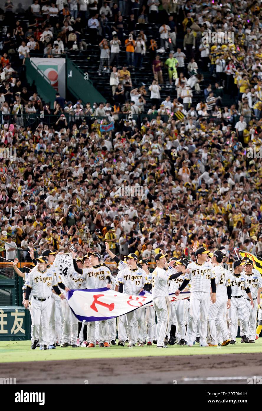 Members of Hanshin Tigers celebrate after grabbing championship of central  league at Hanshin Koshien Stadium in Nishinomiya City, Hyogo Prefecture on  September 14, 2023. Hanshin Tigers of Nippon Professional Baseball (NPB)  claimed