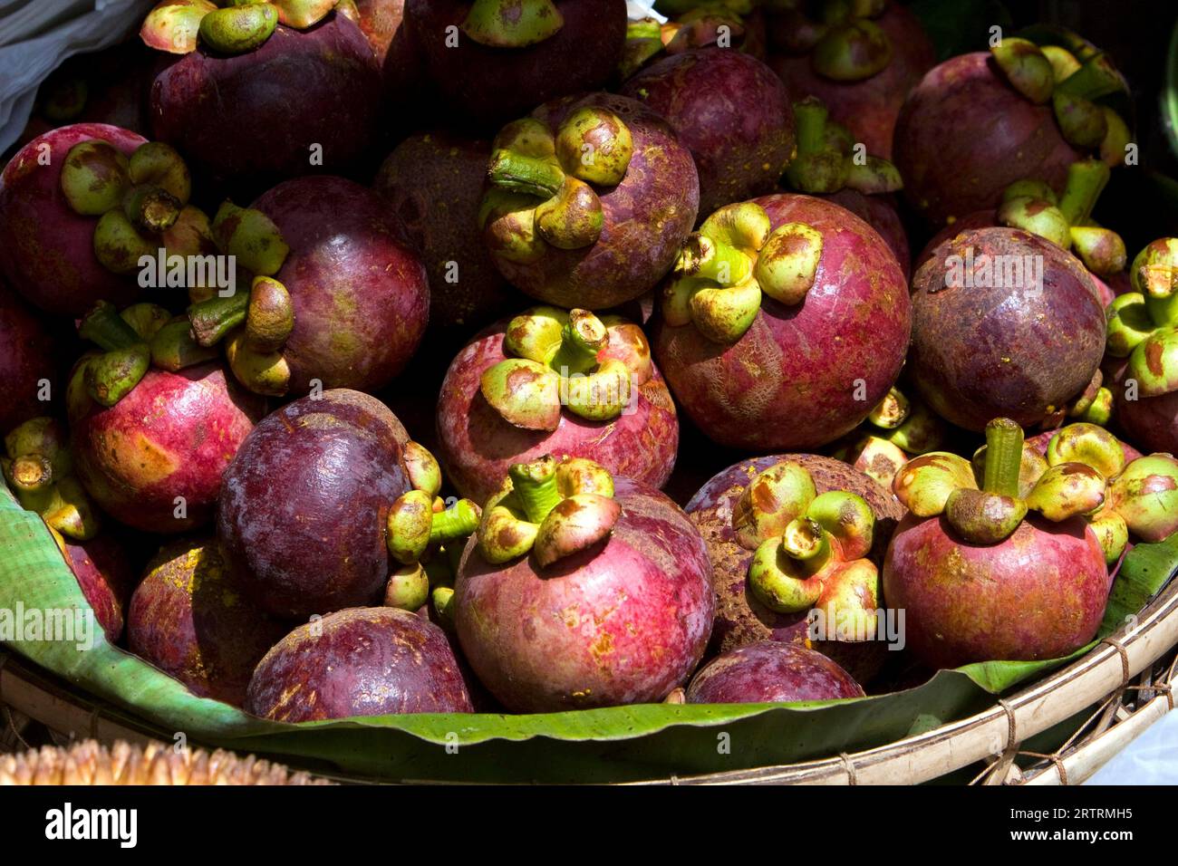 Mangosteen (Garcinia mangostana) exotic fruit in fruit bowl Stock Photo