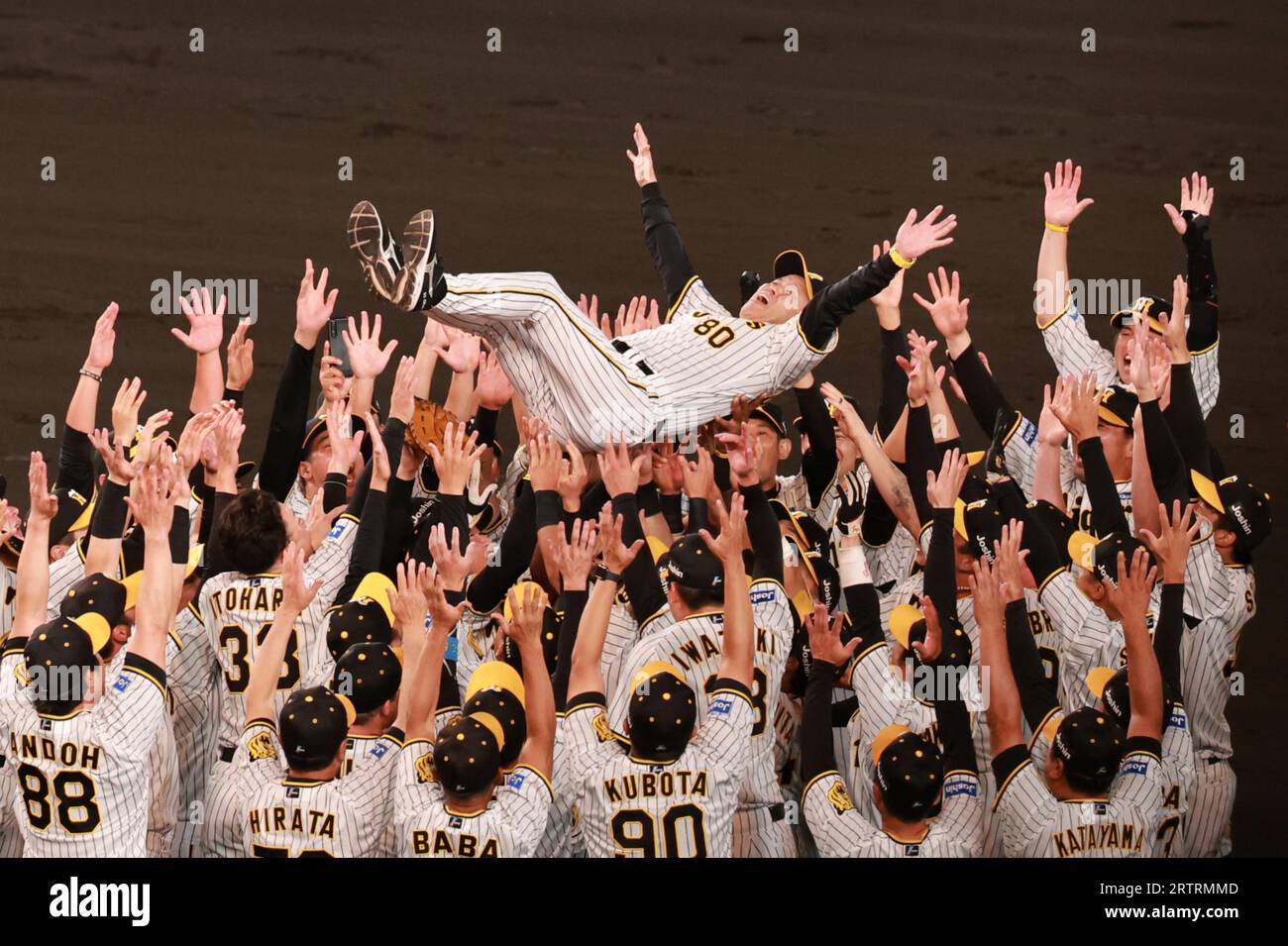 Akinobu Okada, a manager of Hanshin Tigers, is tossed in the air by members after grabbing championship of central league at Hanshin Koshien Stadium in Nishinomiya City, Hyogo Prefecture on September 14,