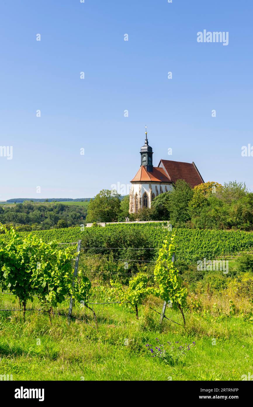 Pilgrimage church Maria im Weingarten, near Volkach am Main, Lower Franconia, Mainfranken, Bavaria, Germany Stock Photo