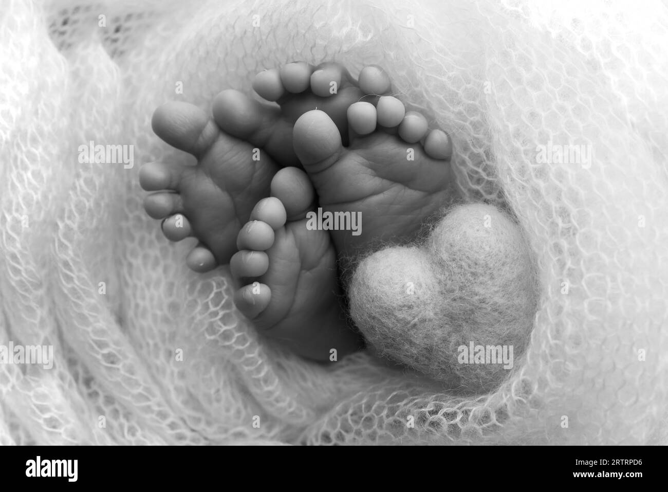 Legs, toes, feet and heels of newborn twins. Wrapped in a knitted