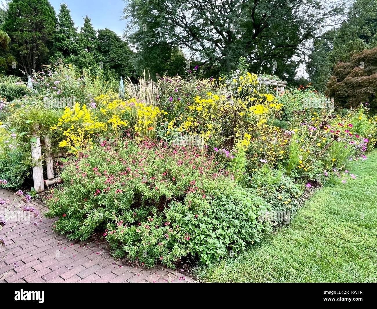 Landscapes plants hi-res stock photography and images - Page 2 - Alamy
