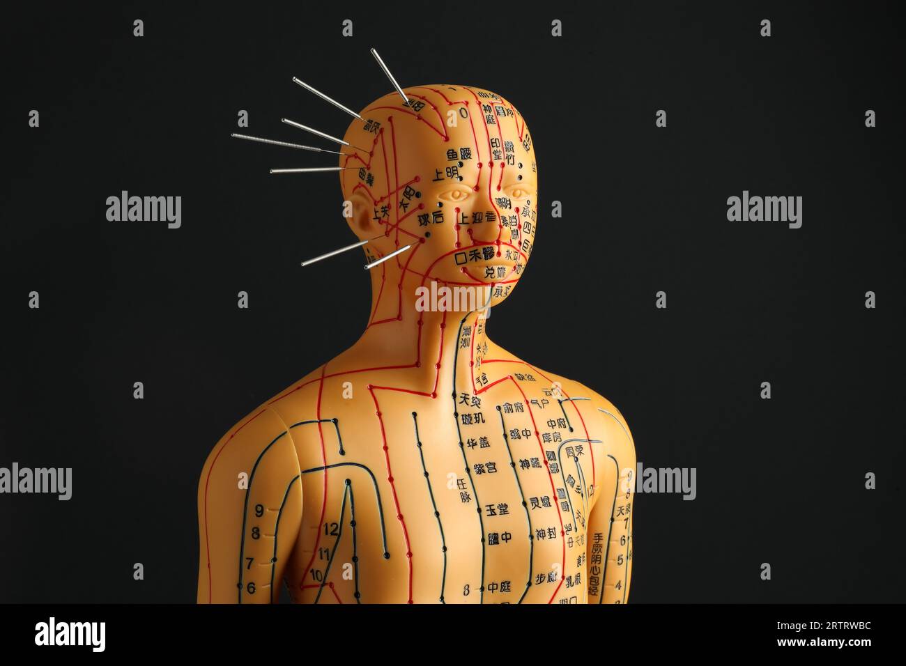 Acupuncture alternative medicine. Human model with needles in head on