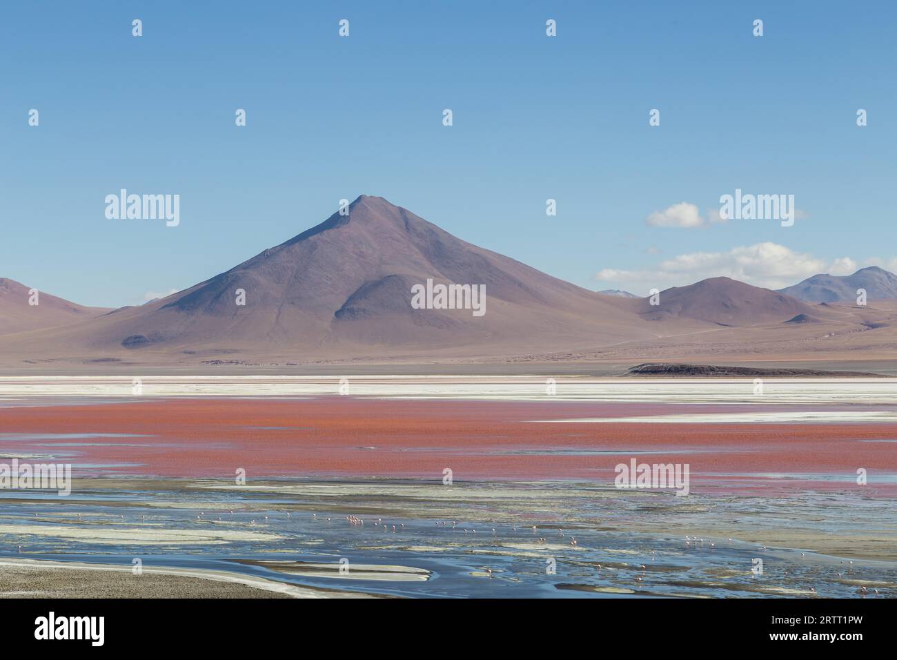 Photograph of the beautiful Laguna Colorada in the South West of Bolivia Stock Photo