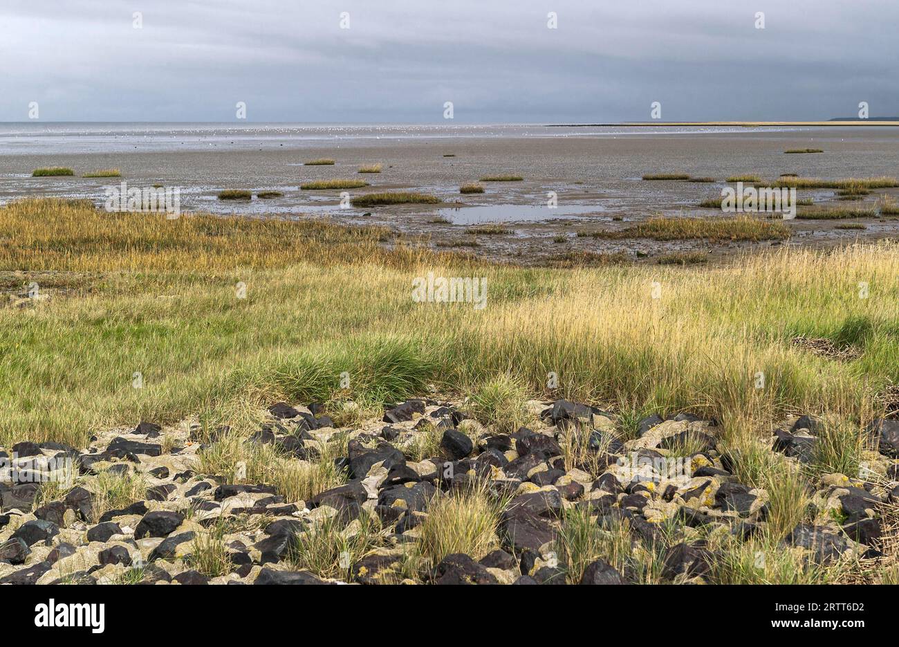 Mudflat Image North Sea, mudflat landscape Stock Photo - Alamy