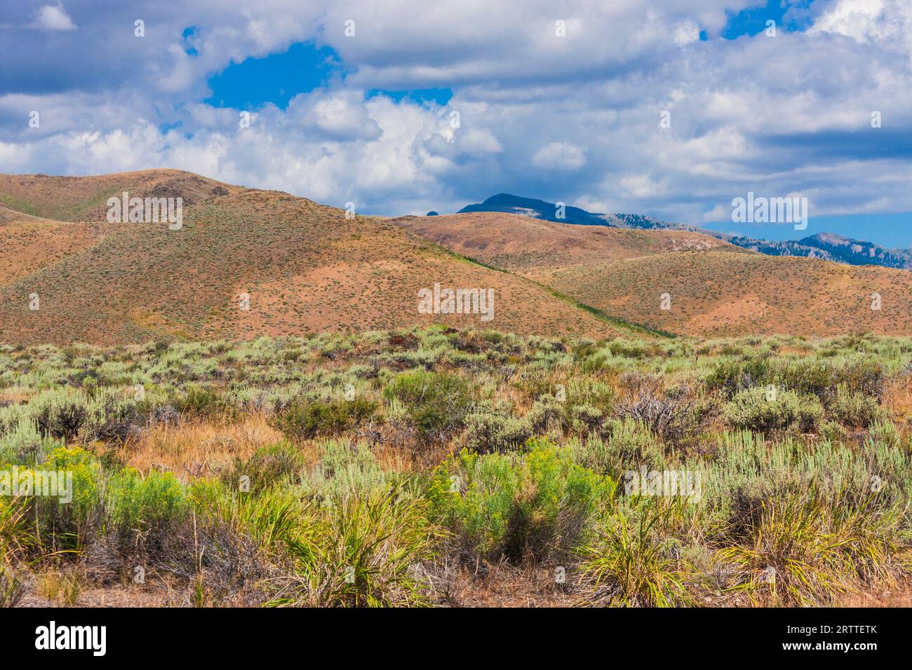 Sage and grass fields on the Snake River Plains in Idaho. The country is rugged, remote, and harsh both in winter and summer. Stock Photo