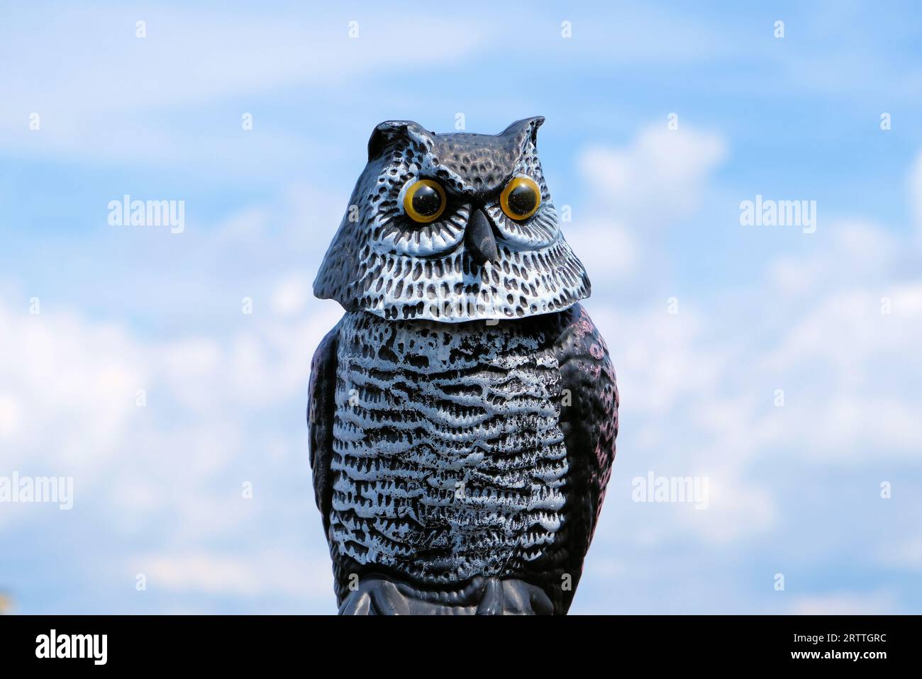Close-up photo of decoy owl against a blue sky and white cloud background Stock Photo