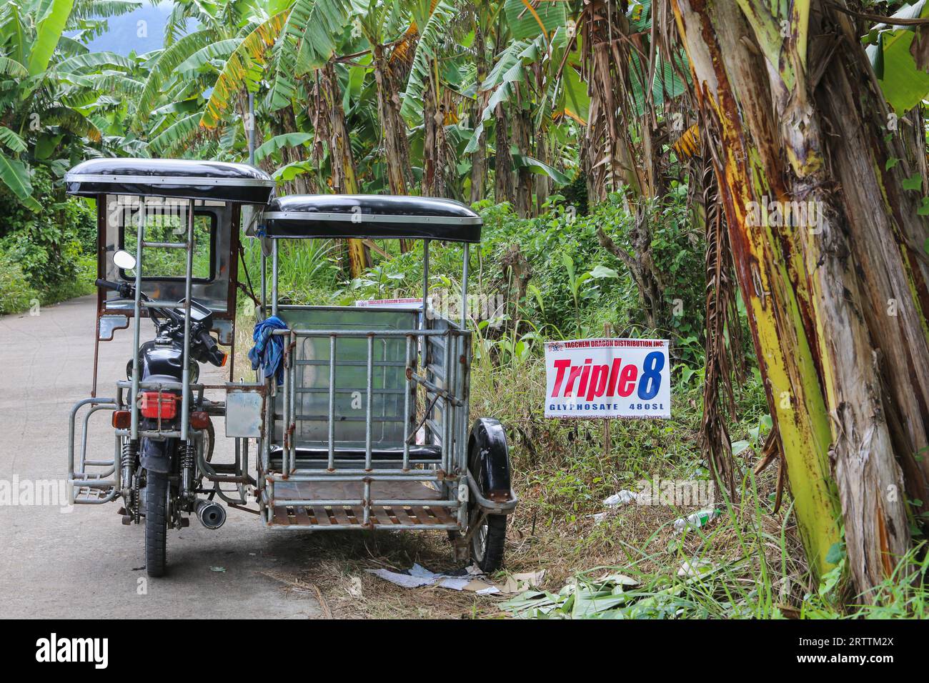 Advertising sign for glyphosate herbicide Triple 8 480SL (Tag Chem) used in the nearby banana plantation farm, boxtype sidecar tricycle, Philippines Stock Photo