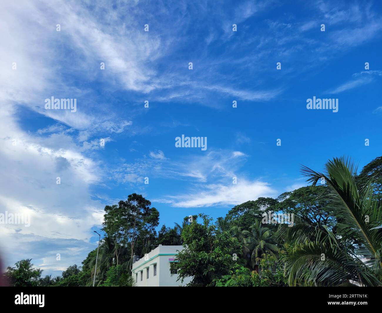 A low angle of a building in palm trees under a cloudy blue sky Stock ...