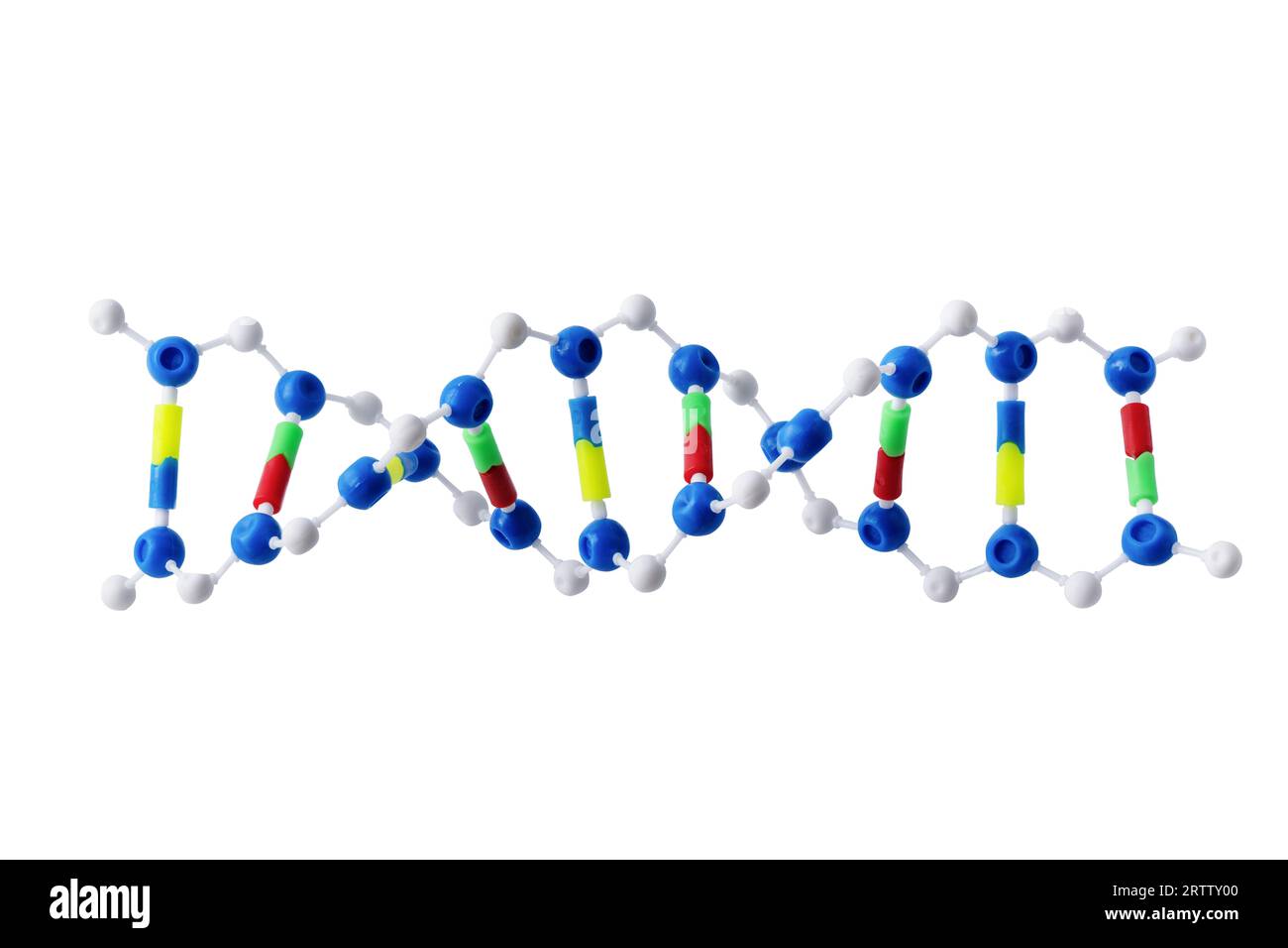 DNA model isolated on white background. DNA souvenir. Stock Photo