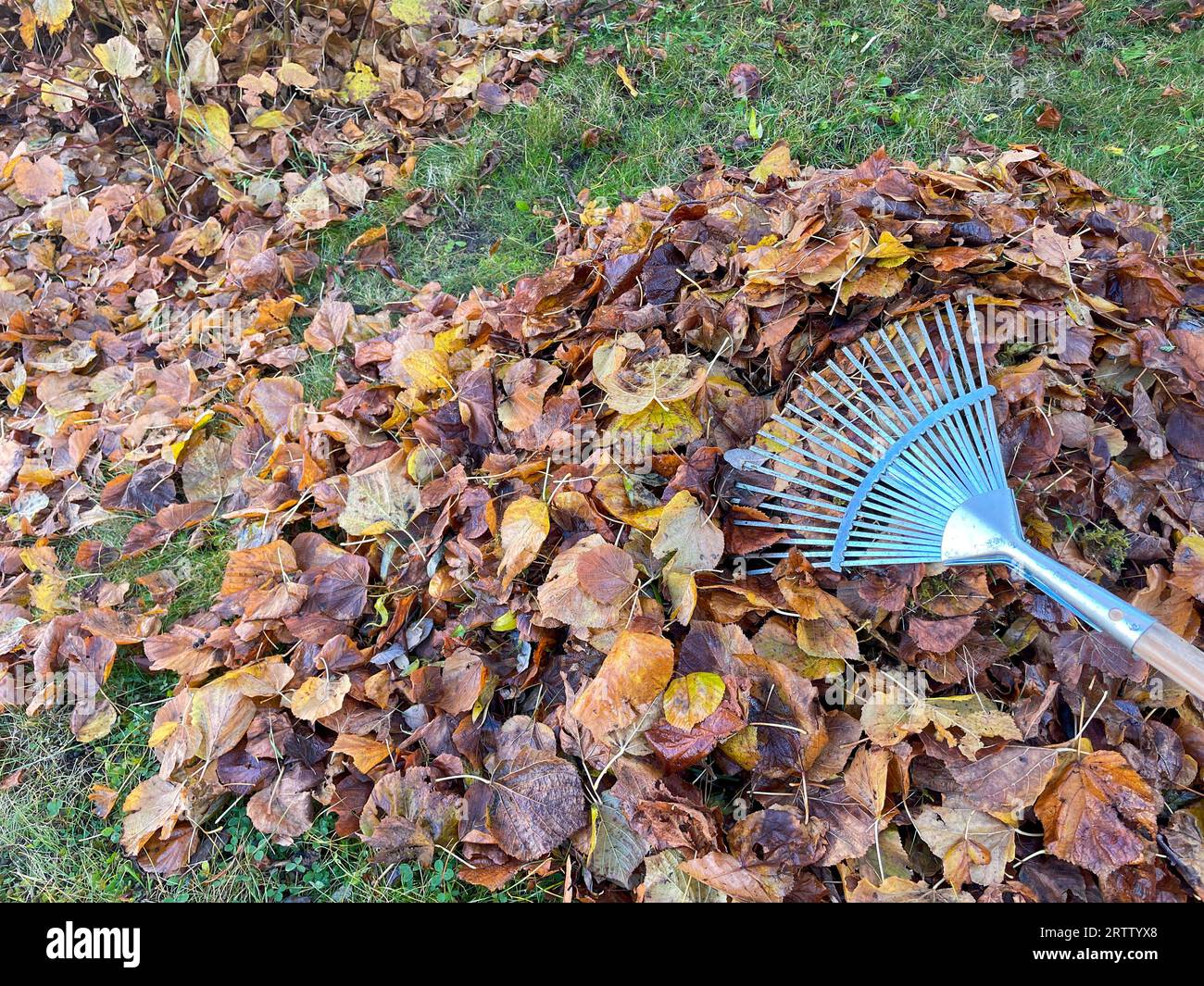 Leaf rake hi-res stock photography and images - Alamy