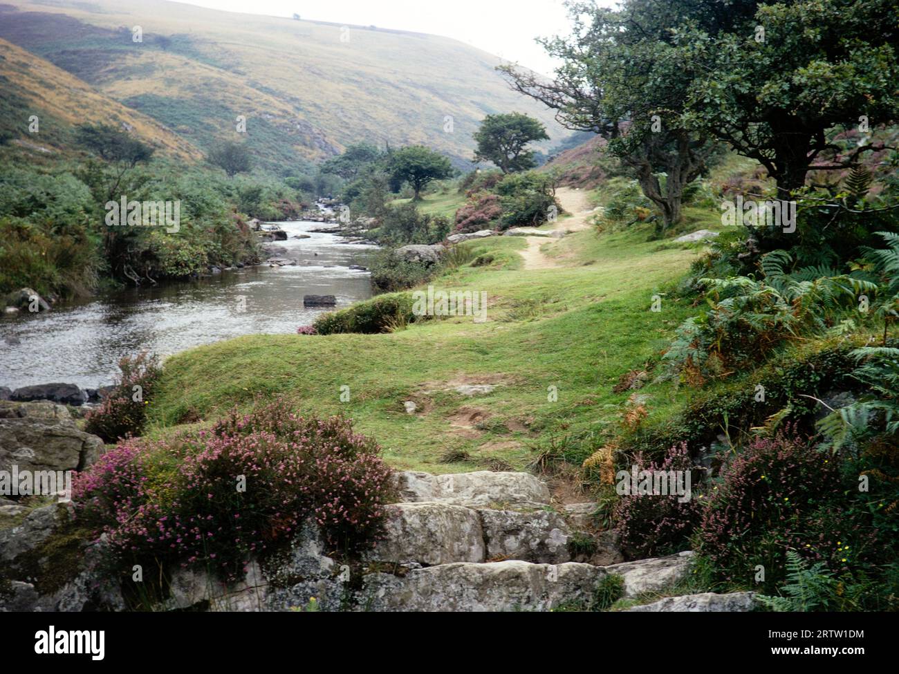 Badgworthy Water river leading to Doone valley, Exmoor national park,  England, UK September 1968 Stock Photo