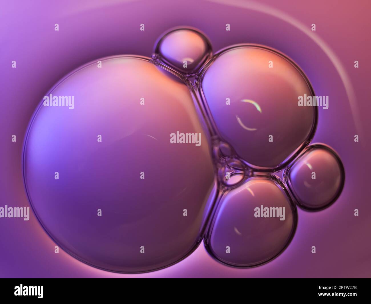 Realistic soap bubble rainbow hi-res stock photography and images - Alamy