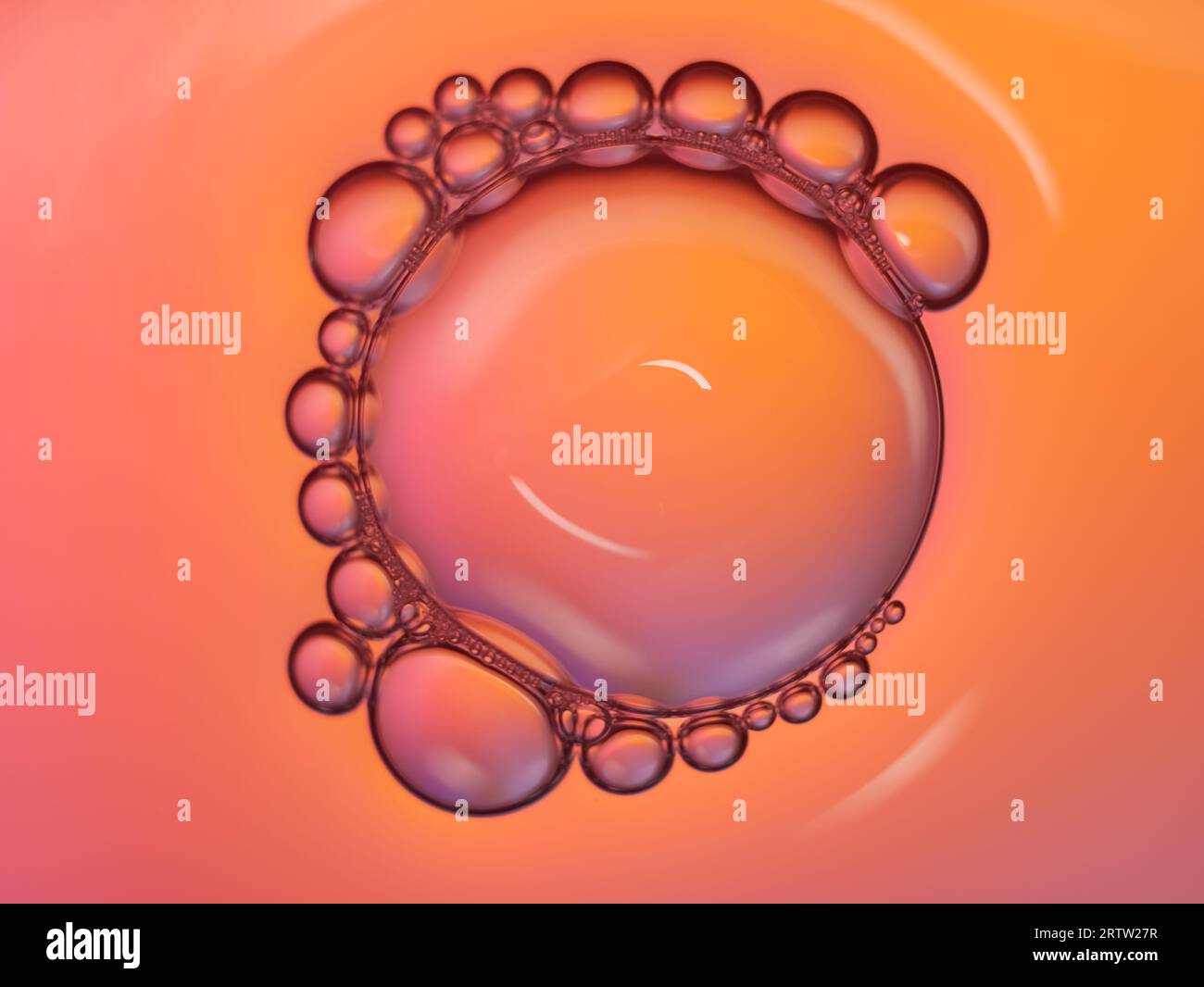 Realistic soap bubble rainbow hi-res stock photography and images - Alamy