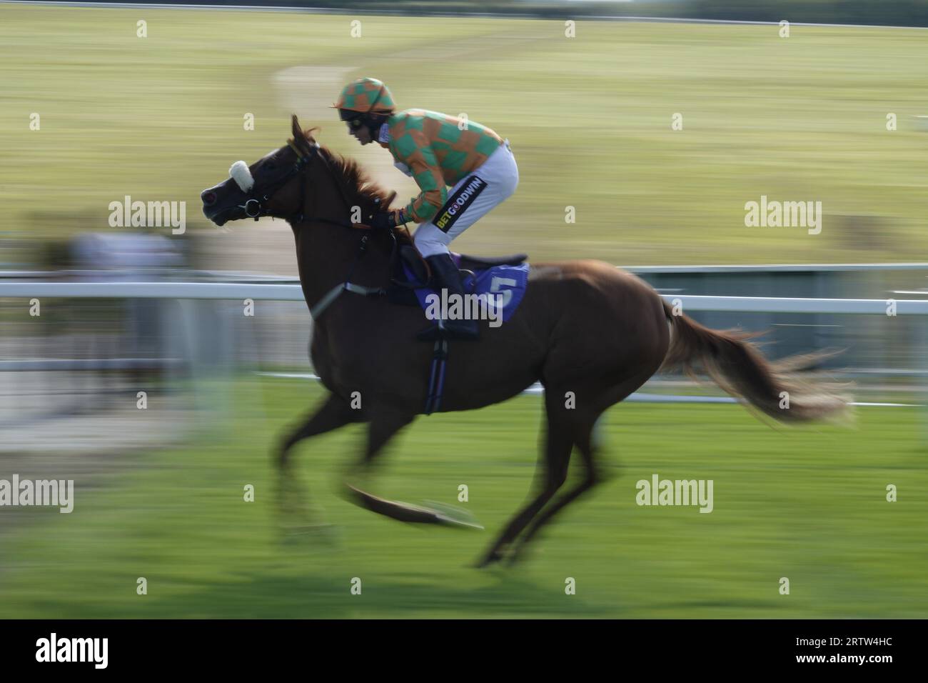 Tom cannon hires stock photography and images Alamy