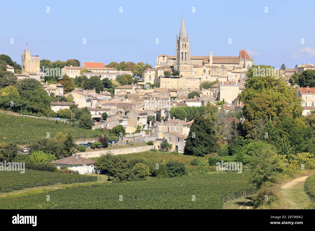 saint-milion-in-its-vines-and-its-red-wine-vineyard-saint-milion-is
