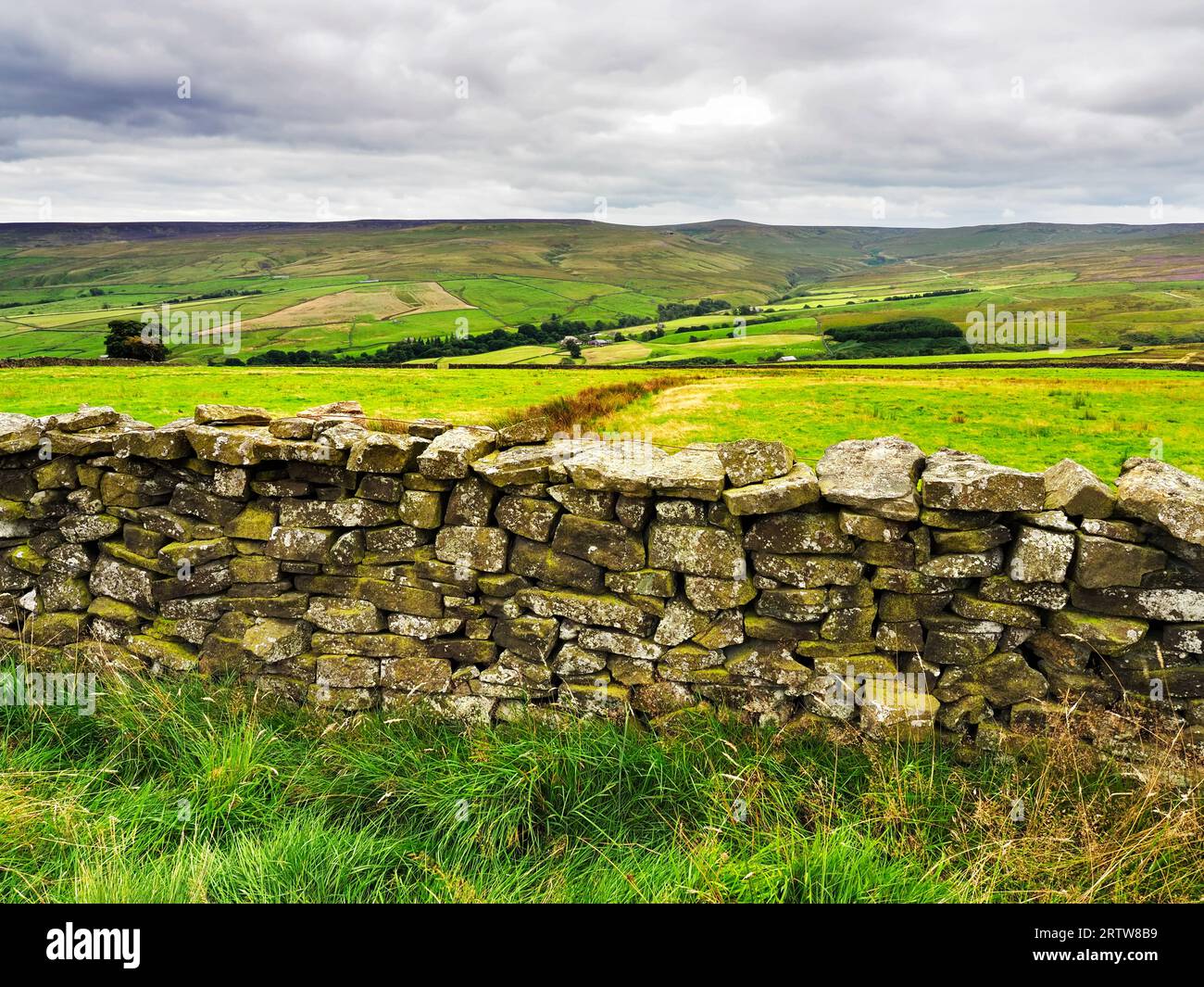 Upper Nidderdale from The Nidderdale Way on In Moor Lane between Scar