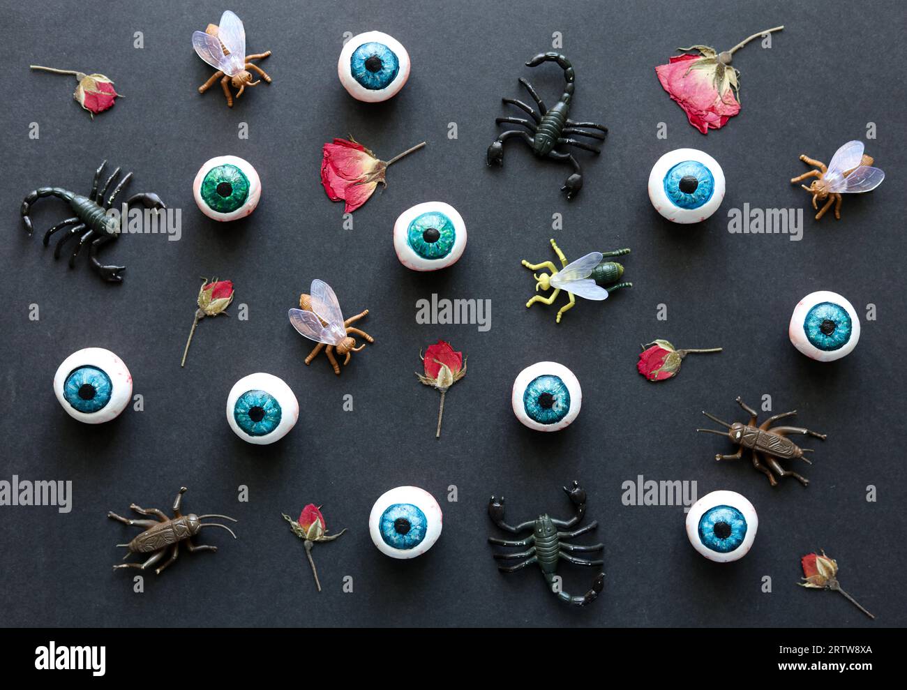 halloween pattern with eyeballs, insects and red roses on black ...