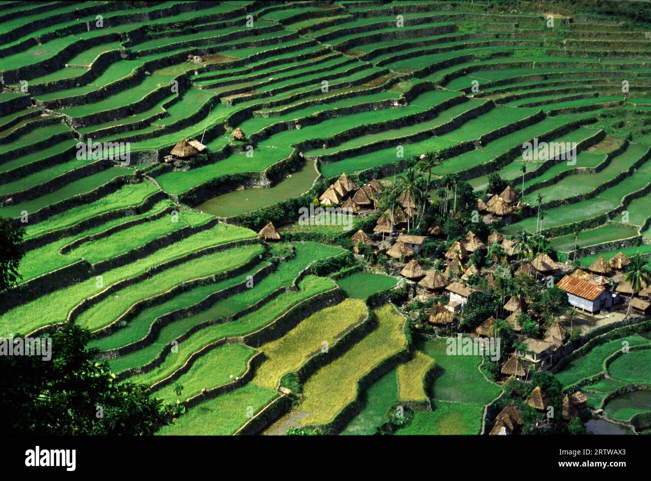 Rice terraces and village Stock Photo - Alamy