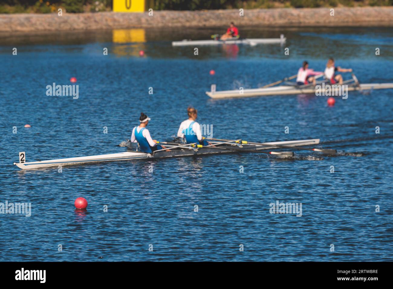 Group of rowing team female girl athletes sculling during competition