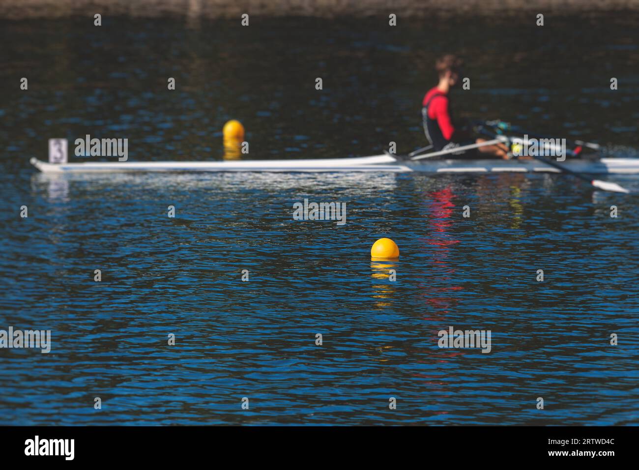 Group of rowing team athletes sculling during competition, kayak boats ...