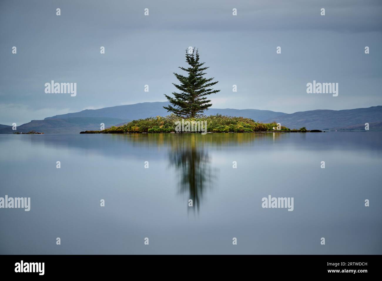 Spruce on island in lake against mountains Stock Photo