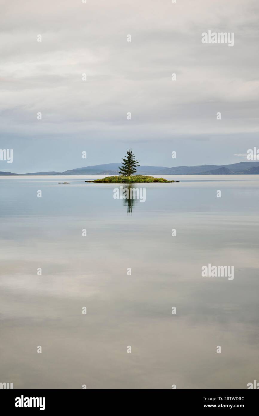 Small island with spruce on lake in overcast Stock Photo
