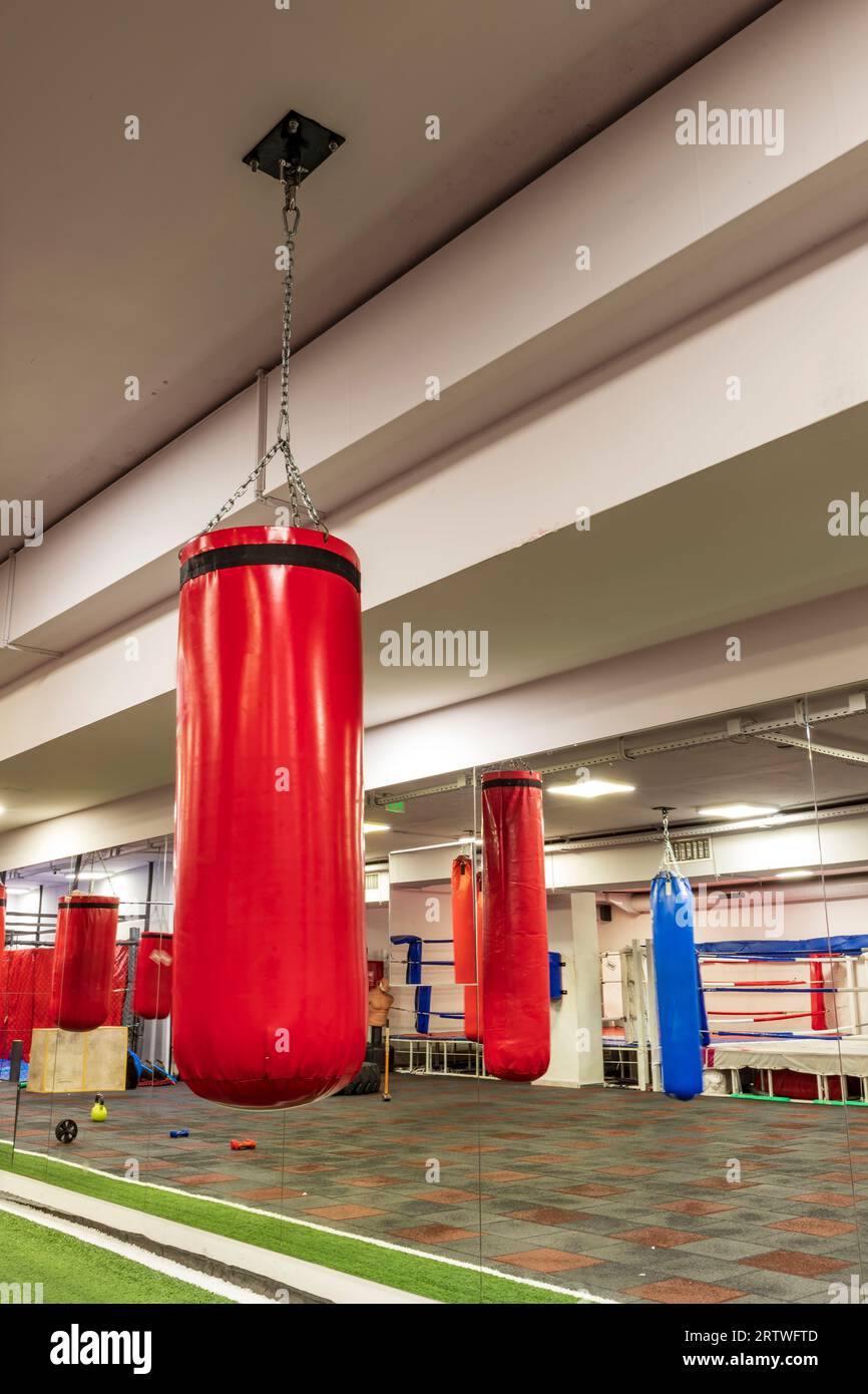 punching bag, boxing indoors, for power sport for punch and lifestyle strength, knockout club