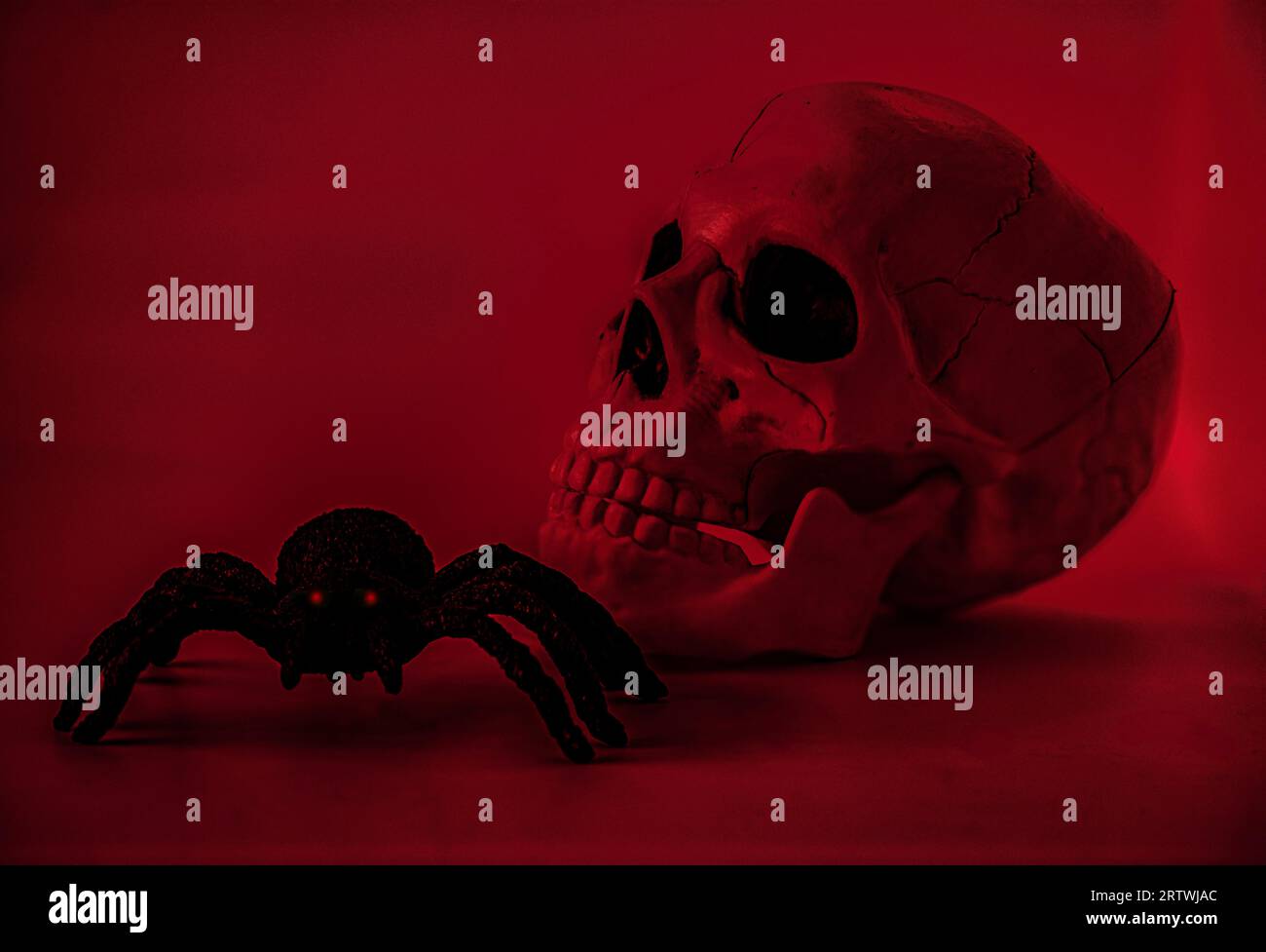 Scull and spider on a red background. Stock Photo