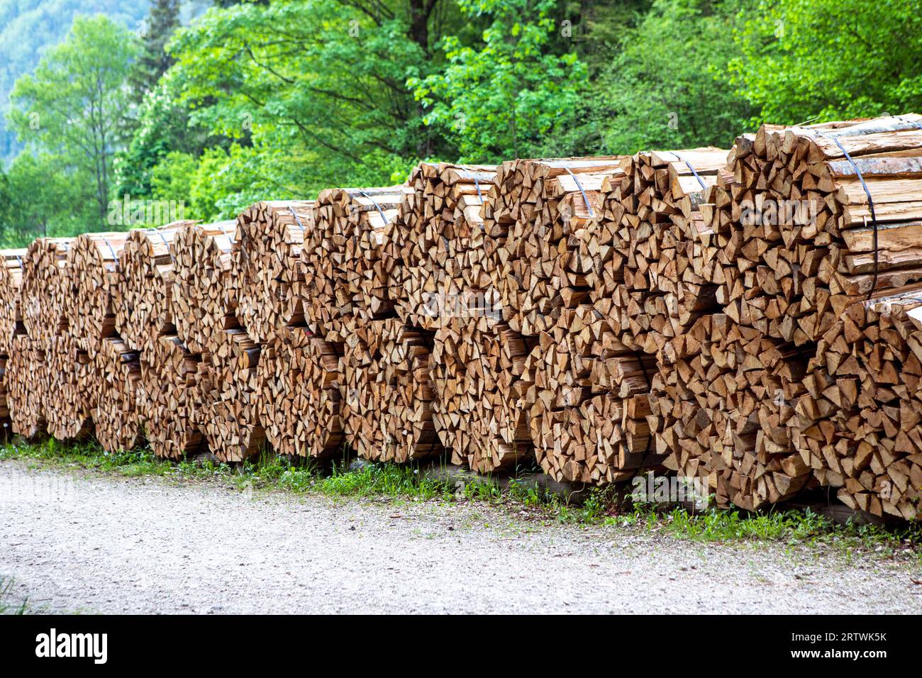Packages of chopped wood in the forest by the footpath, prepared in a sawmill for burning in a freestanding wood stove or in a fireplace. Sawmill,  lo Stock Photo