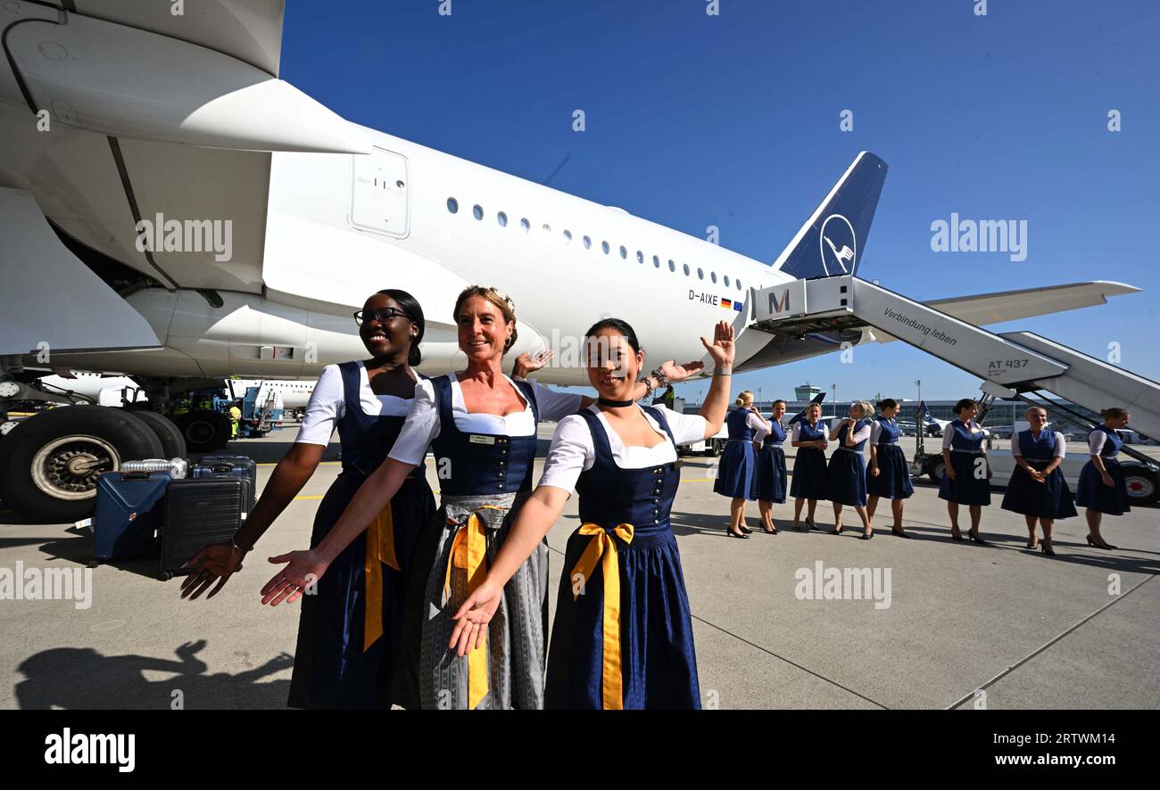 What Happened at the Gate: Two Accounts of the Incident What Happened at the Gate: Two Accounts of the Incident