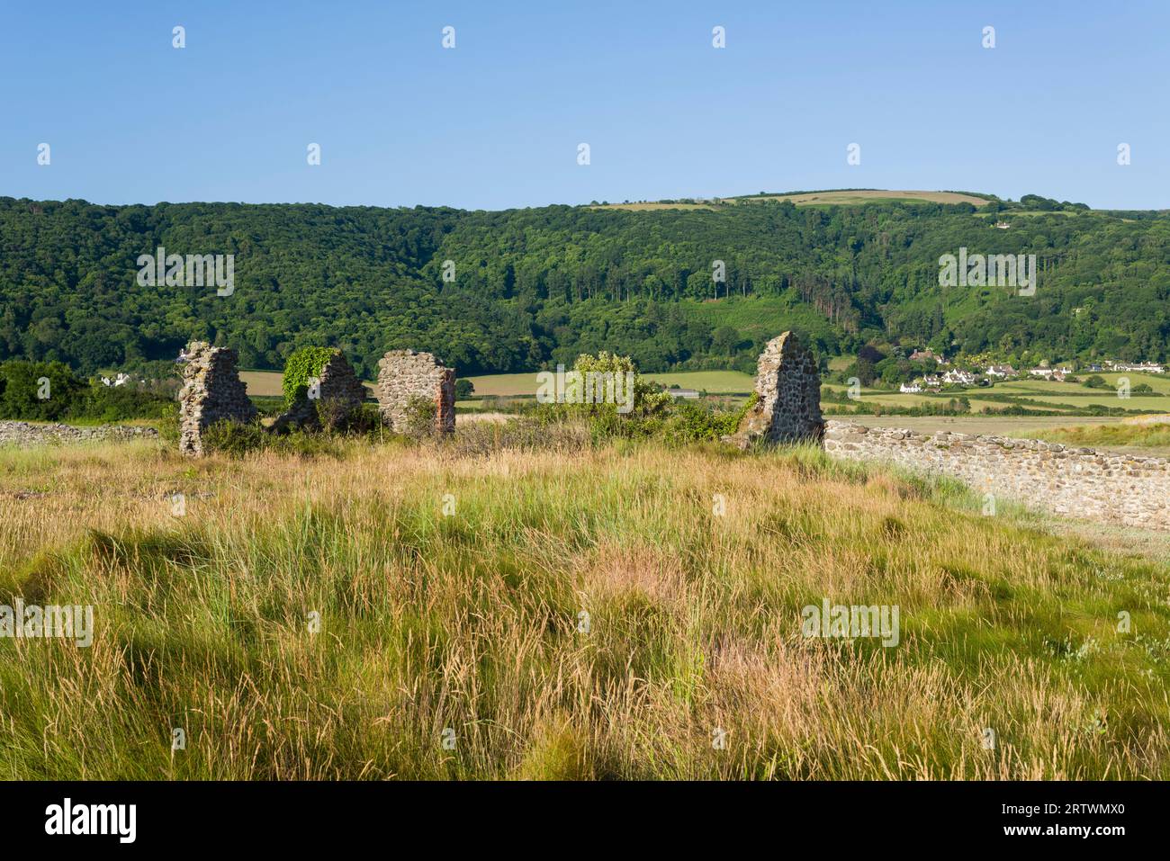 The ruin of an old farm building in Porlock Marsh, Exmoor National Park, Somerset, England. Stock Photo