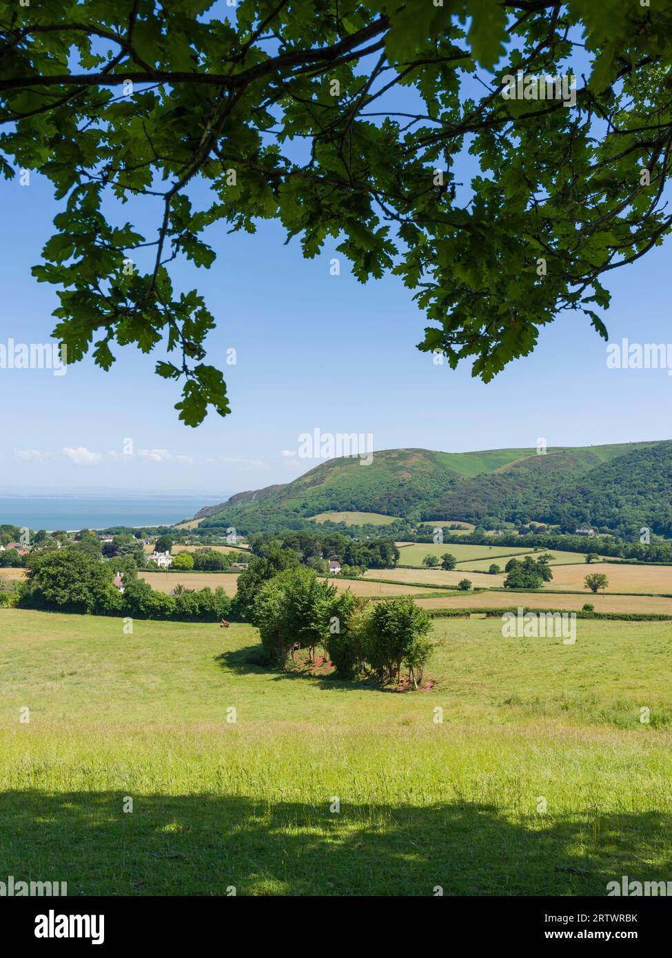 Porlock Ridge Porlock Bay from the Coleridge Way between Porlock and West Luccombe ...