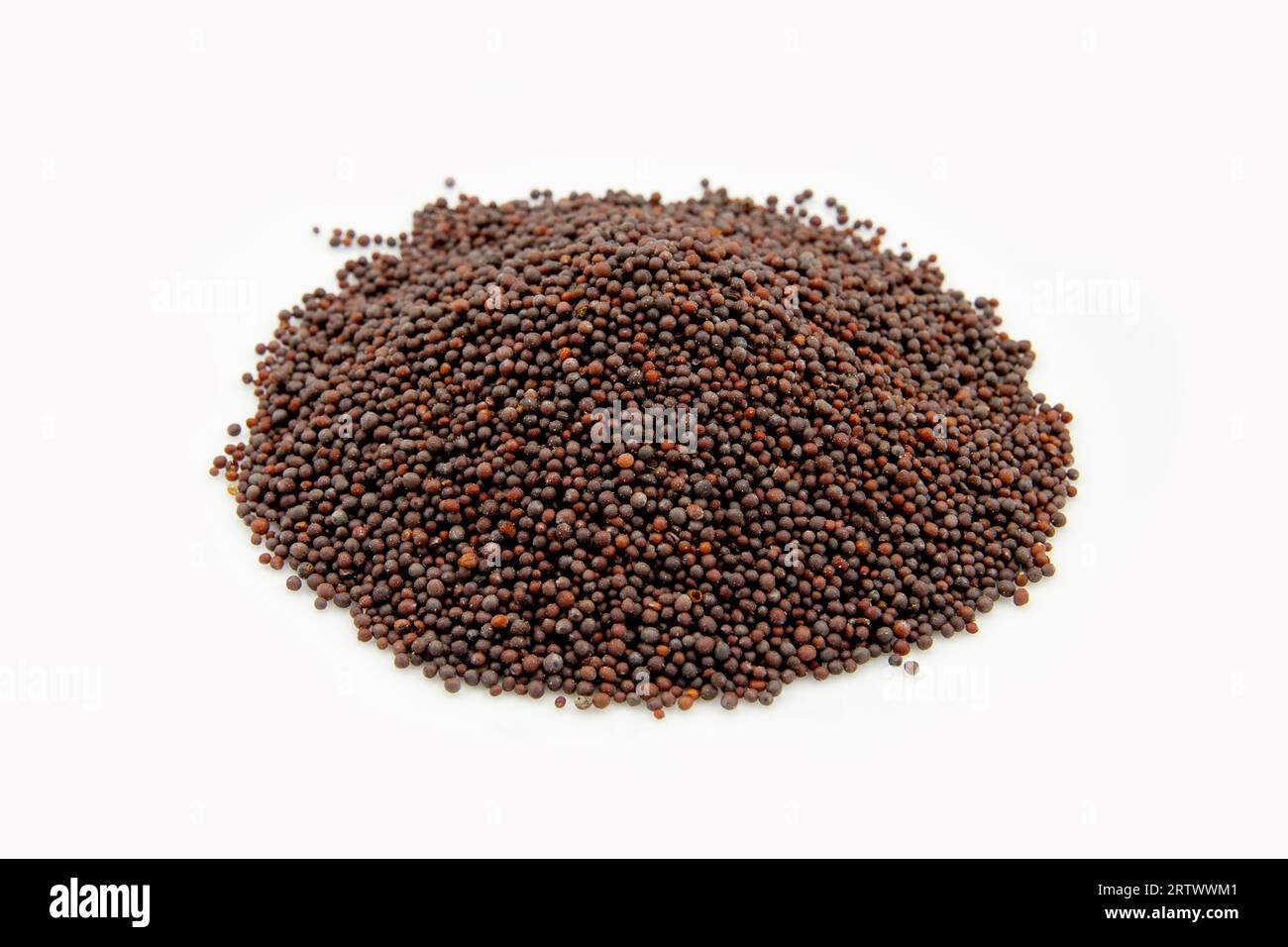 A Pile Of Fresh Organic Ceylon Black Mustard Seeds On A Plain White