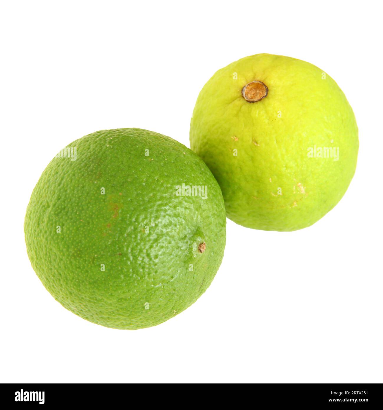 Natural fresh citrus limes. Isolated clip art. Great for printing