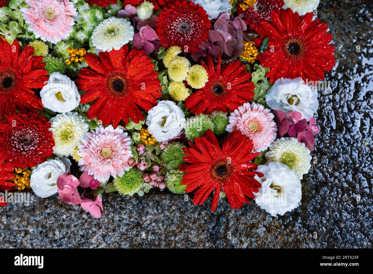 Stunning arrangement of vibrant flowers hi-res stock photography and ...
