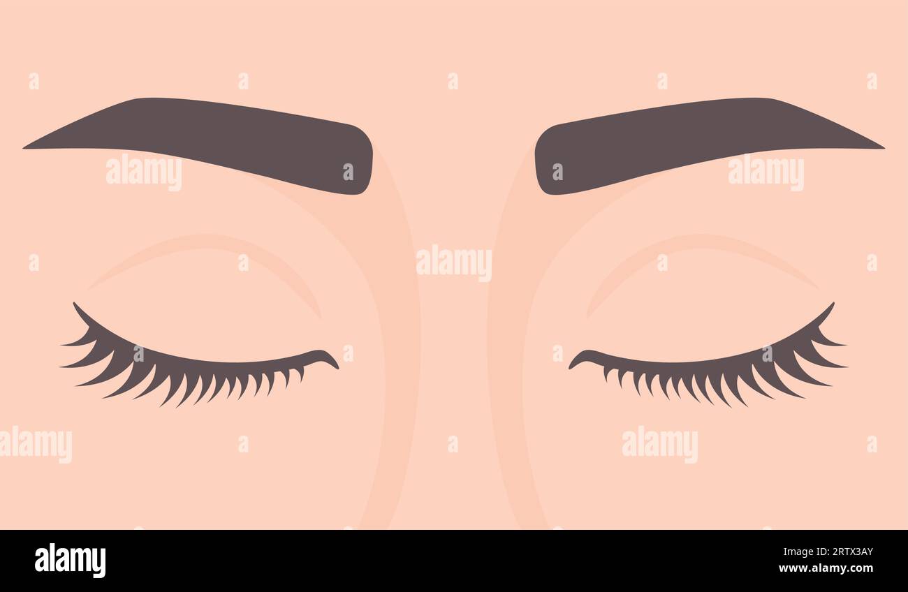 Woman with eyes closed. Closed eyes with lashes and eyebrows. Vector